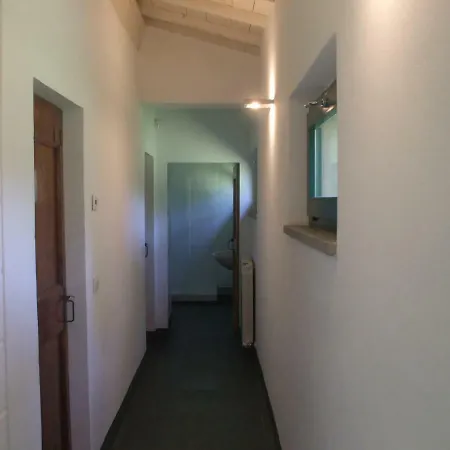 Albert A * Cetona